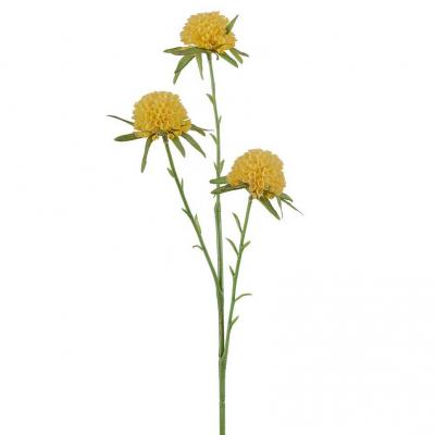 3946 50